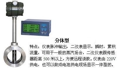 dn65蒸汽流量計(jì)分體型產(chǎn)品圖